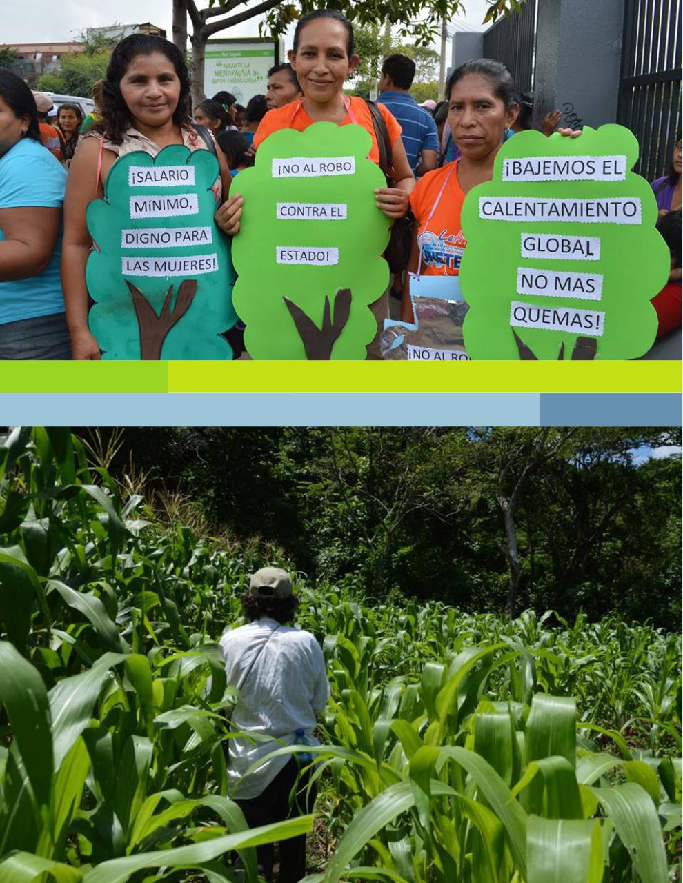 Vista previa del archivo PDF resumen-ejecutivo-modificaciones.pdf