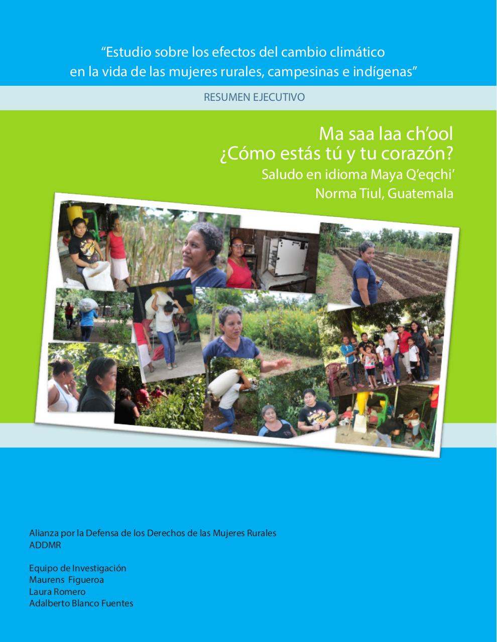 Vista previa del archivo PDF resumen-ejecutivo-modificaciones.pdf