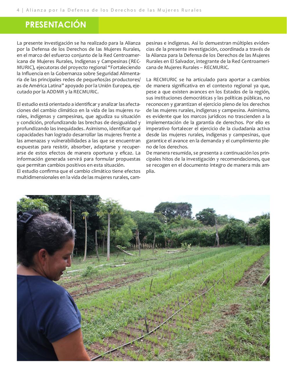 Vista previa del archivo PDF resumen-ejecutivo-modificaciones.pdf