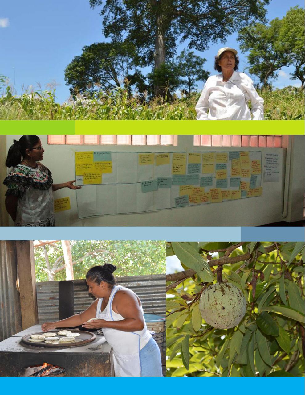 Vista previa del archivo PDF resumen-ejecutivo-modificaciones.pdf