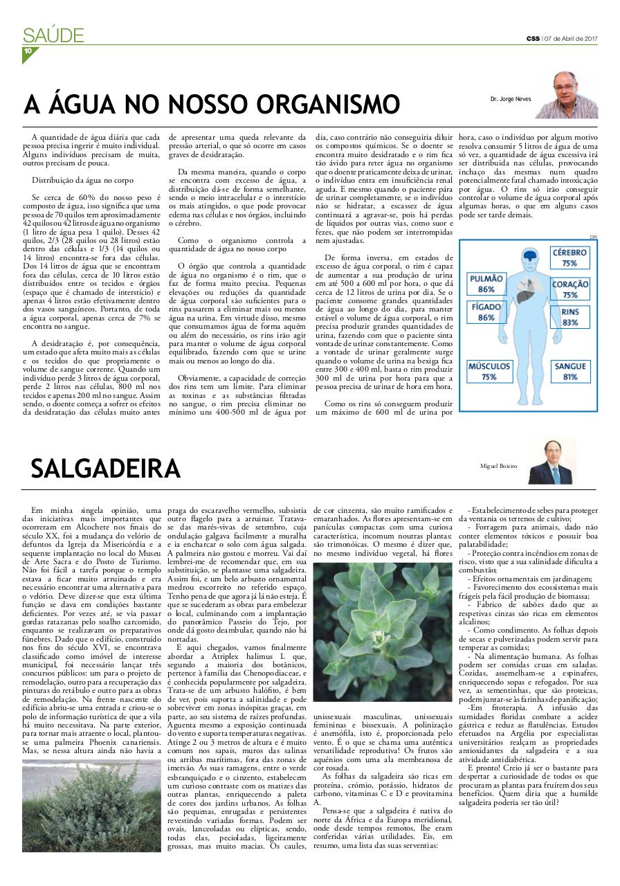 Vista previa del archivo PDF comercio-334.pdf