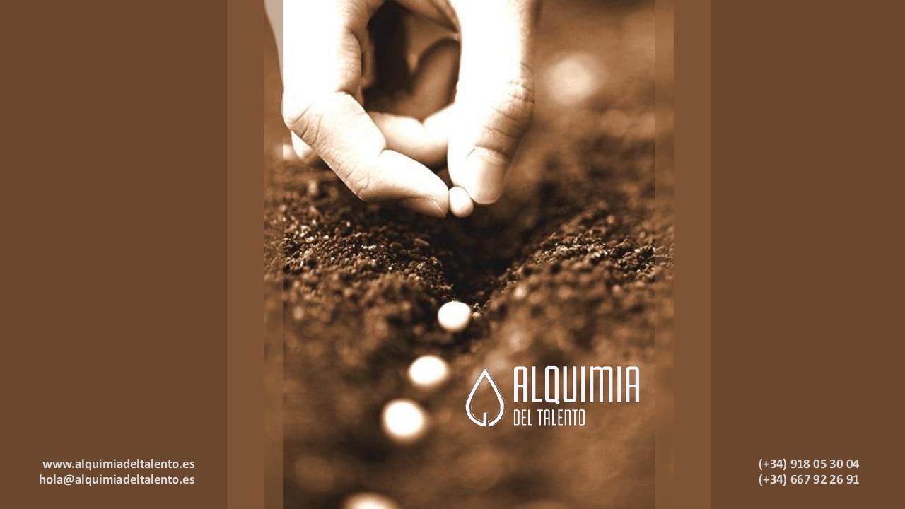 Vista previa del archivo PDF alq-dossier-alquimia-del-talento.pdf