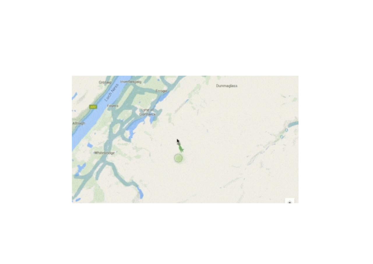 Vista previa del archivo PDF diapos-1.pdf