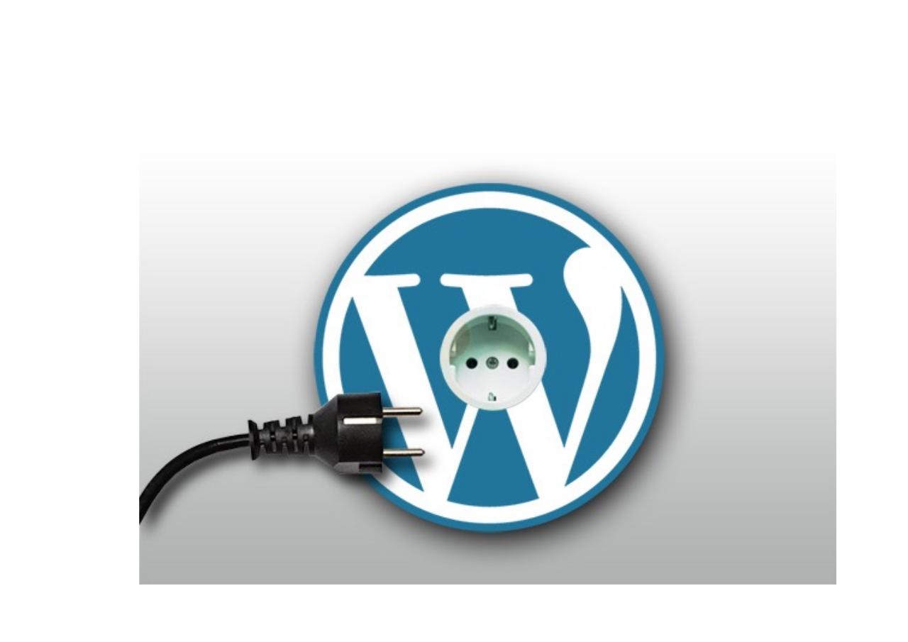 Vista previa del archivo PDF terrasa3.pdf