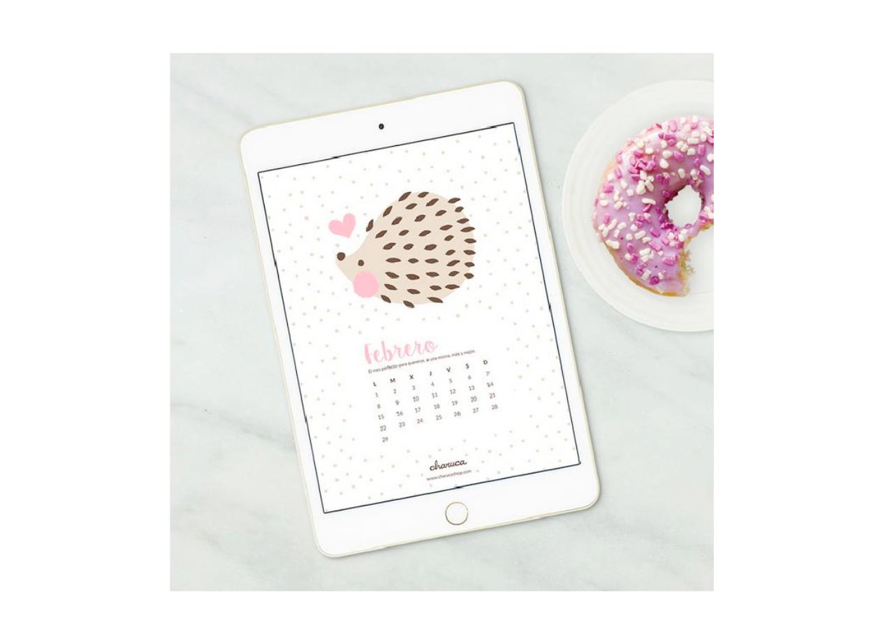 Vista previa del archivo PDF terrasa3.pdf