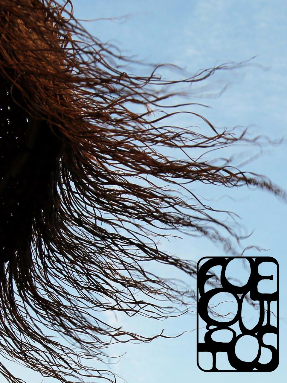 Vista previa del archivo PDF colecci-n-2017-fueguitos.pdf