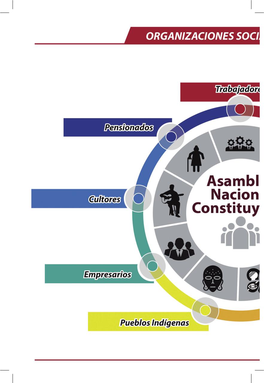 Vista previa del archivo PDF libro-constituyente-2017.pdf