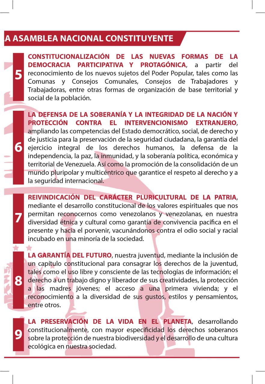 Vista previa del archivo PDF libro-constituyente-2017.pdf