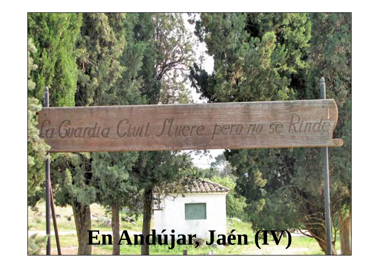 Vista previa del archivo PDF la-patria-agradecida-13-05-2017.pdf