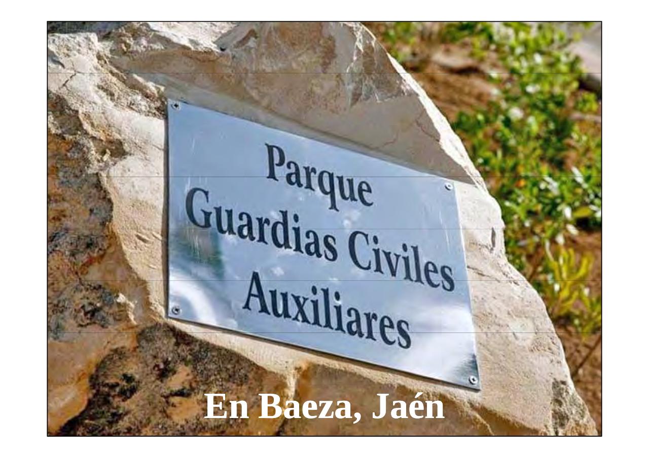 Vista previa del archivo PDF la-patria-agradecida-13-05-2017.pdf