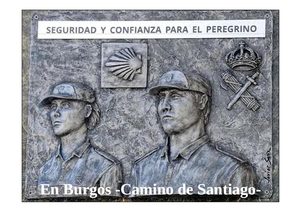 Vista previa del archivo PDF la-patria-agradecida-13-05-2017.pdf