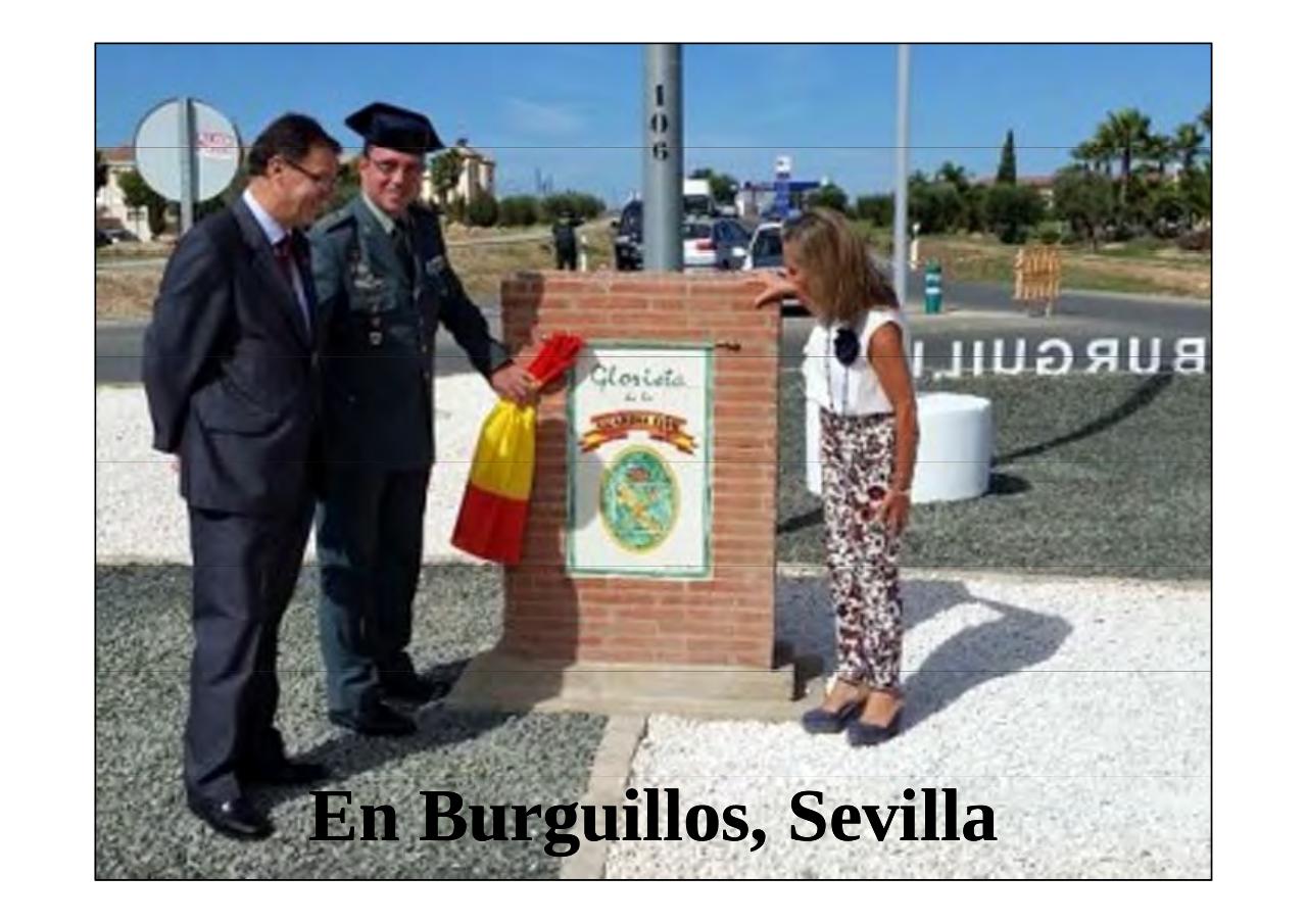 Vista previa del archivo PDF la-patria-agradecida-13-05-2017.pdf