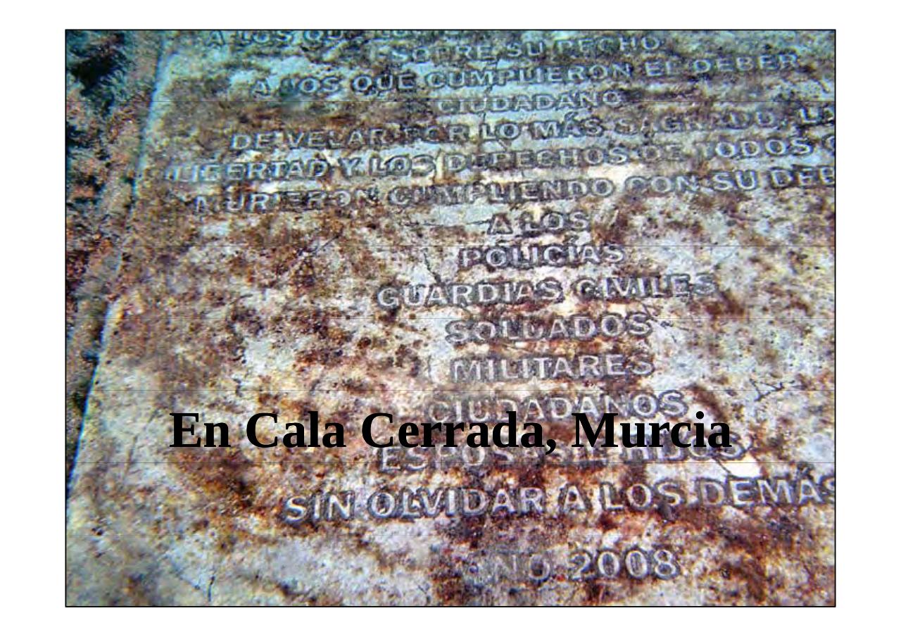 Vista previa del archivo PDF la-patria-agradecida-13-05-2017.pdf