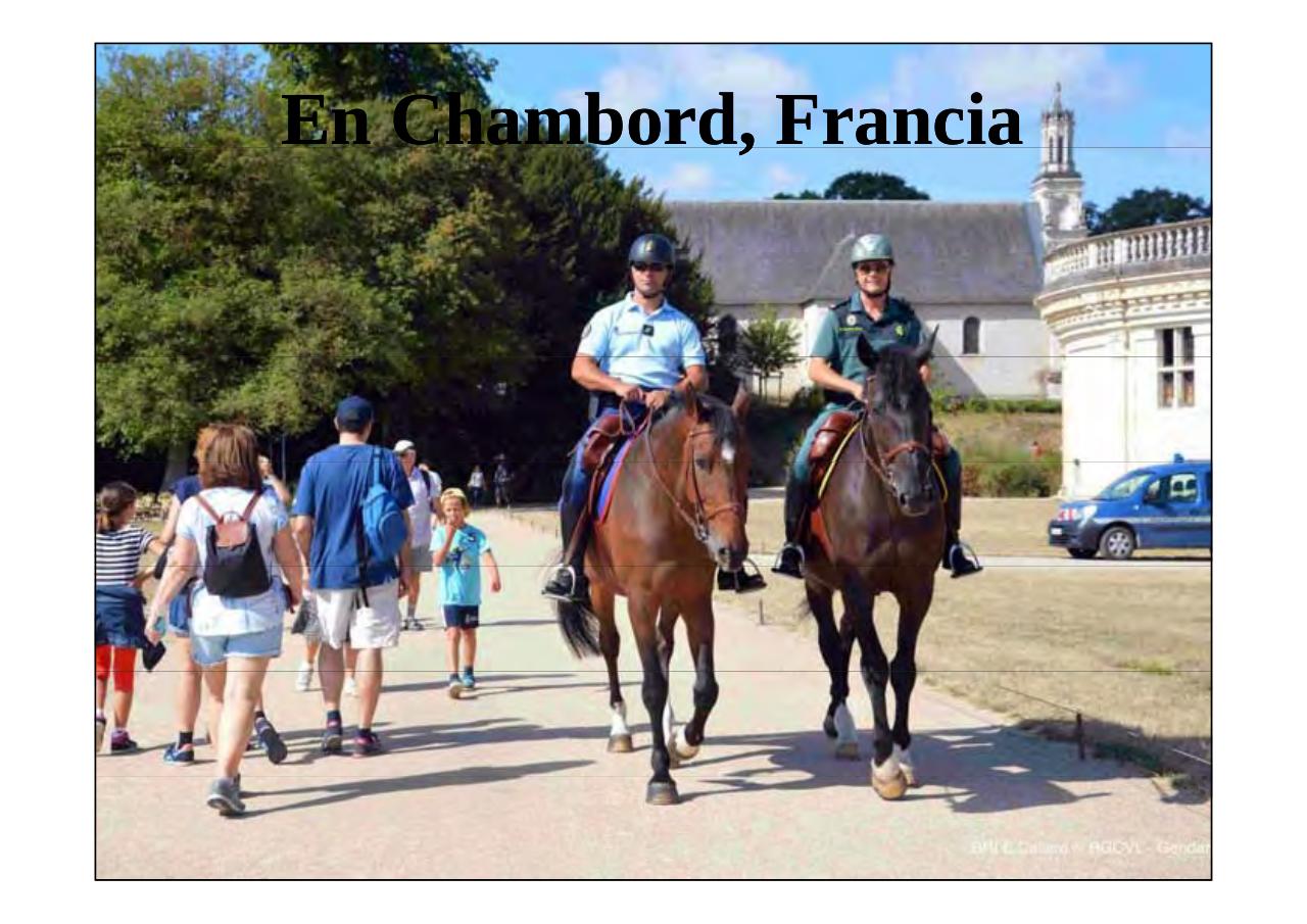 Vista previa del archivo PDF la-patria-agradecida-13-05-2017.pdf