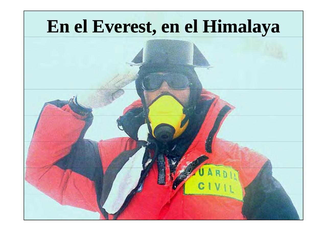 Vista previa del archivo PDF la-patria-agradecida-13-05-2017.pdf