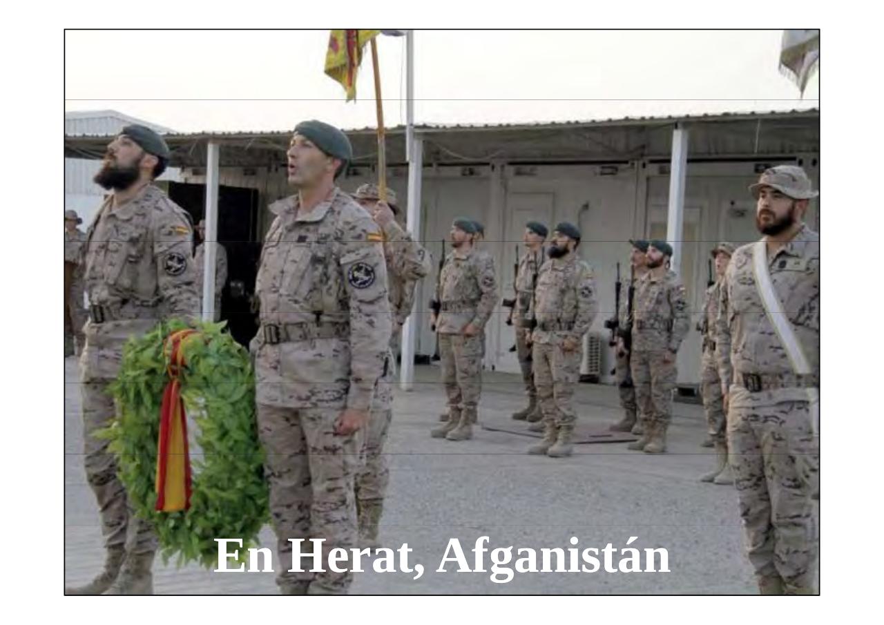 Vista previa del archivo PDF la-patria-agradecida-13-05-2017.pdf