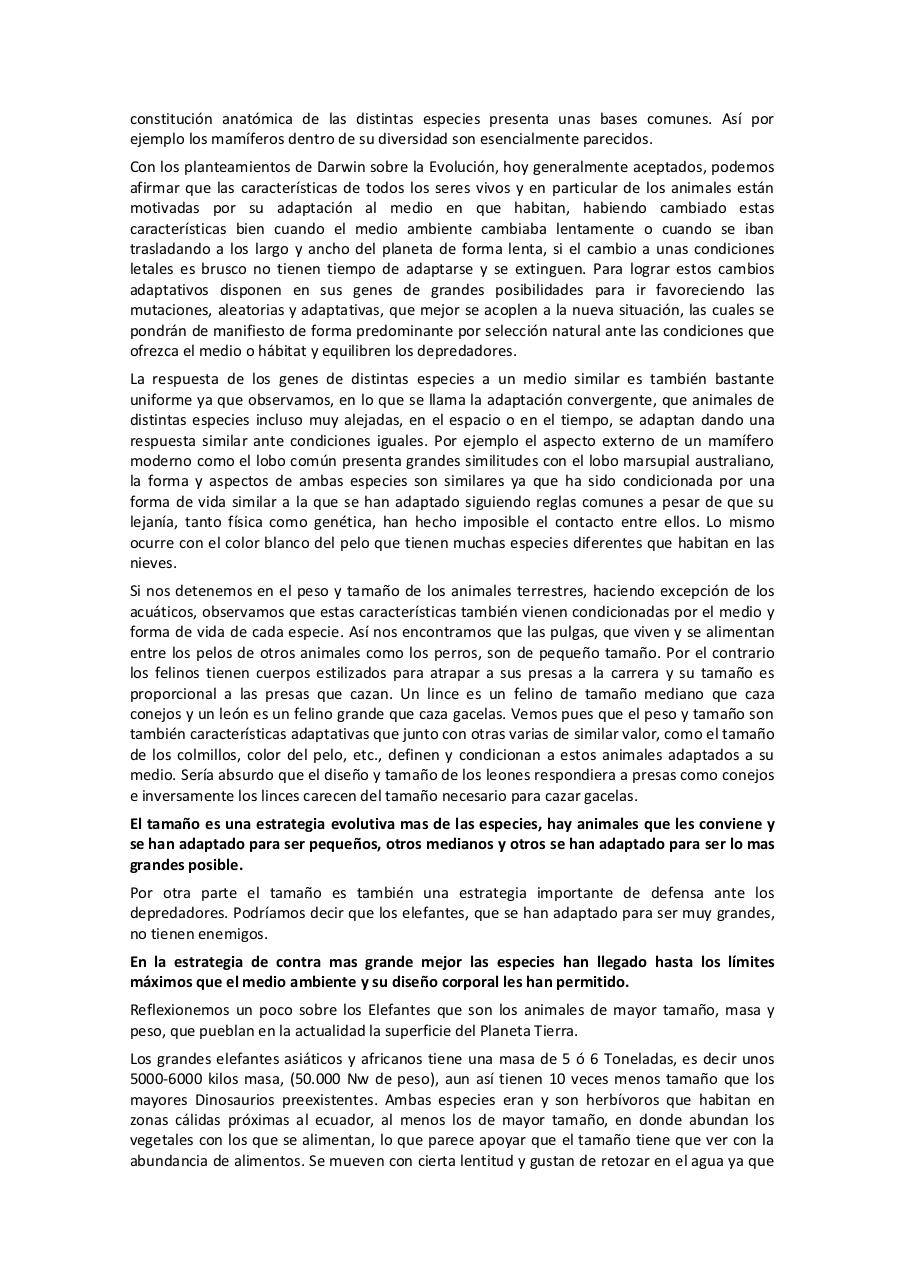 Vista previa del archivo PDF reflexiones-sobre-el-tama-o-de-los-animales-terrestres.pdf