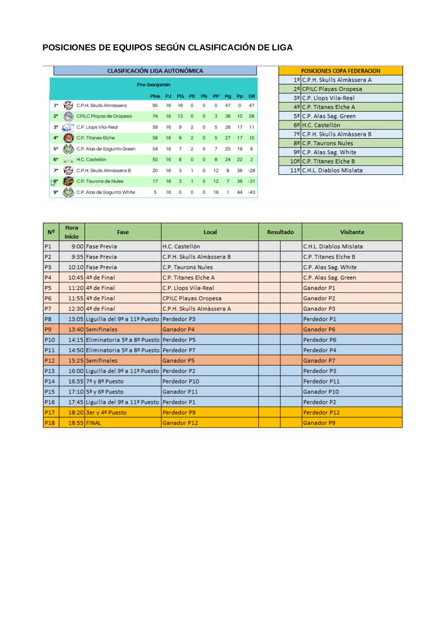 Vista previa del archivo PDF bases-de-competici-n-copa-prebenjamin-2016-17-v2-0.pdf