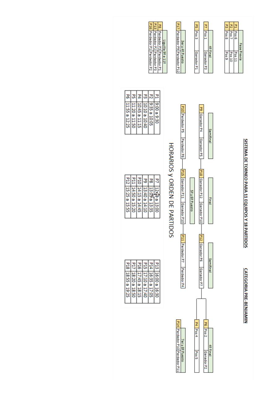 Vista previa del archivo PDF bases-de-competici-n-copa-prebenjamin-2016-17-v2-0.pdf