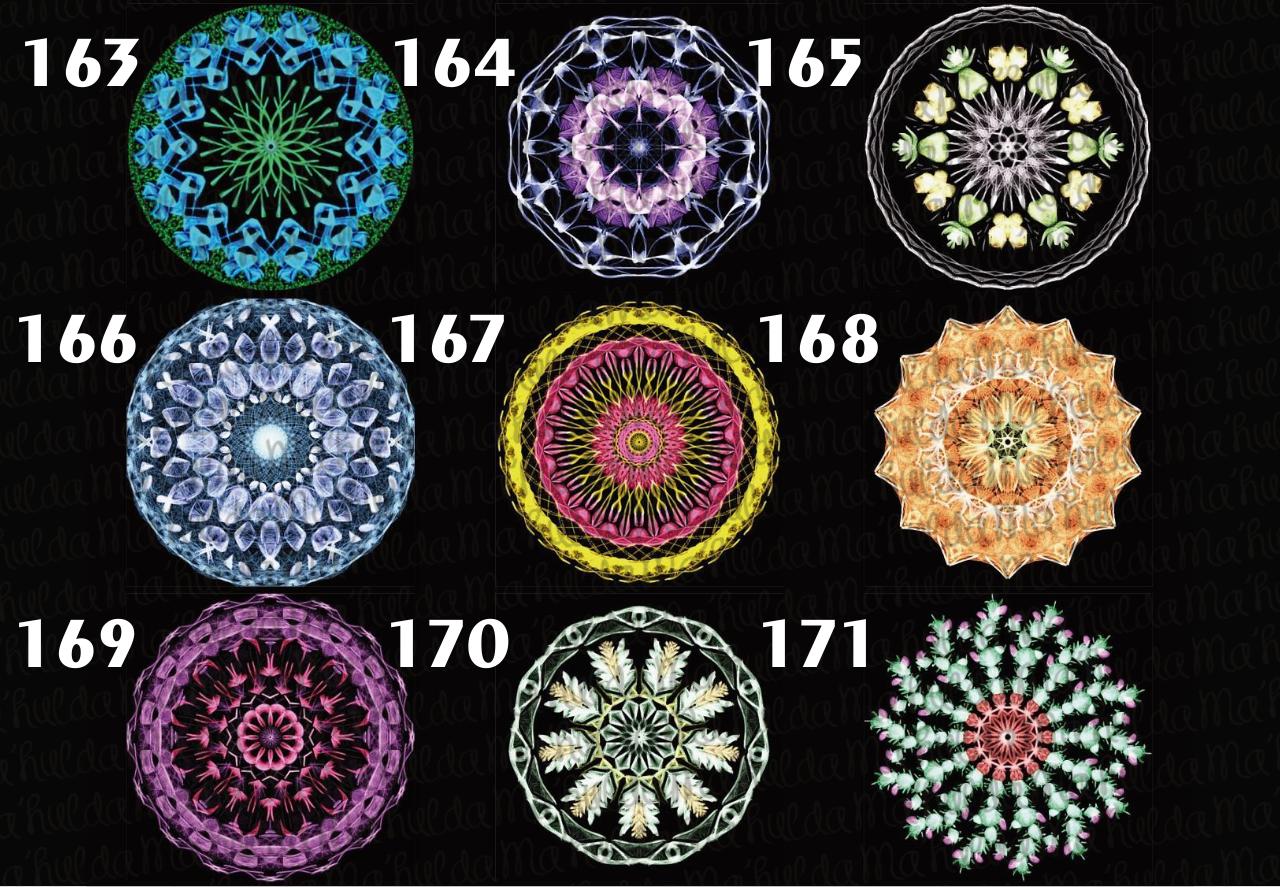 Vista previa del archivo PDF catalogo-mayo-2017.pdf