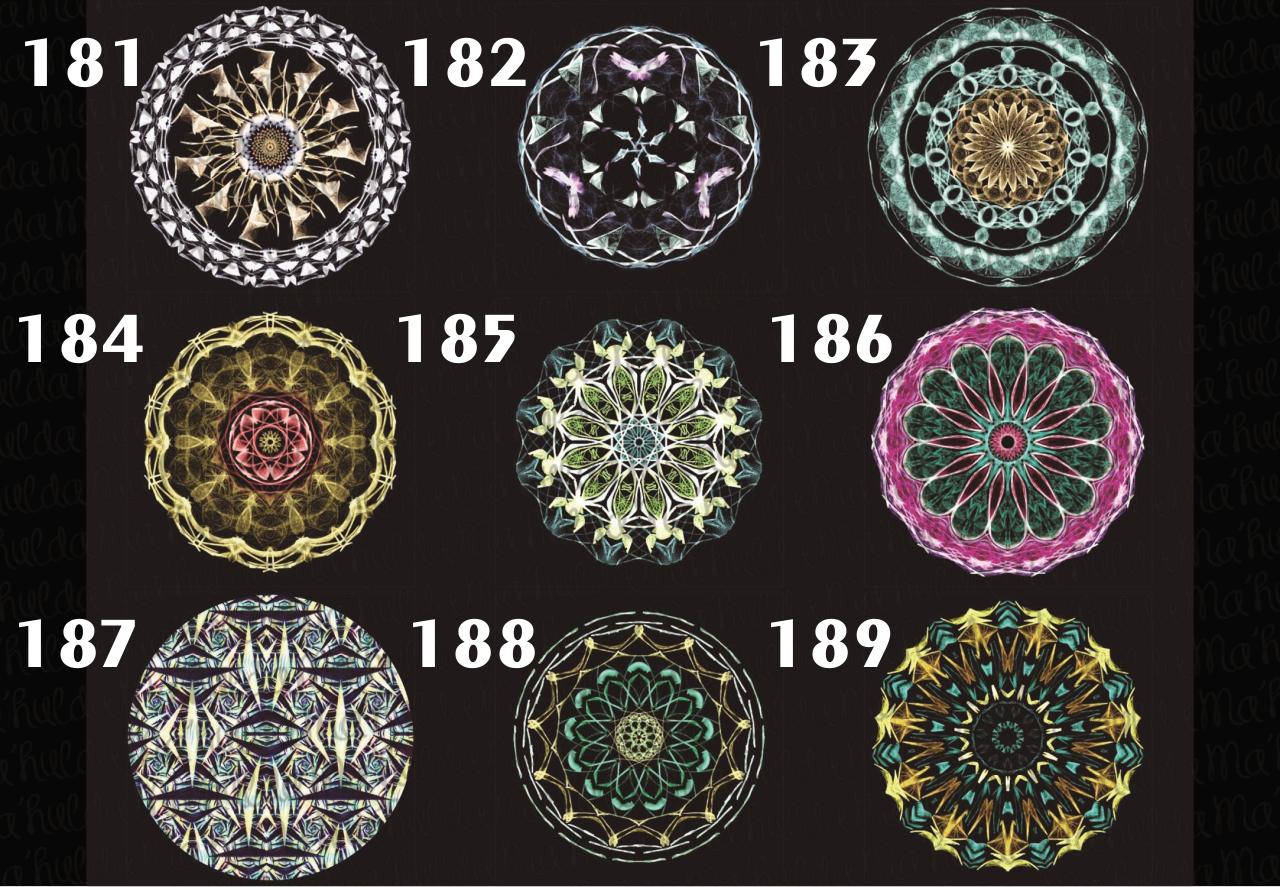 Vista previa del archivo PDF catalogo-mayo-2017.pdf