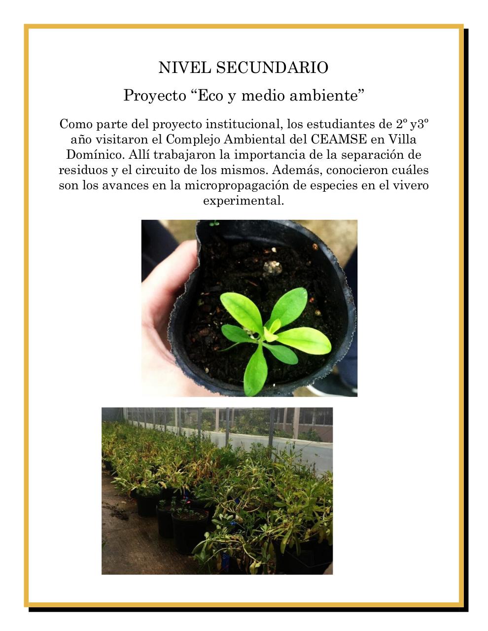 Vista previa del archivo PDF boletin-mayo2.pdf