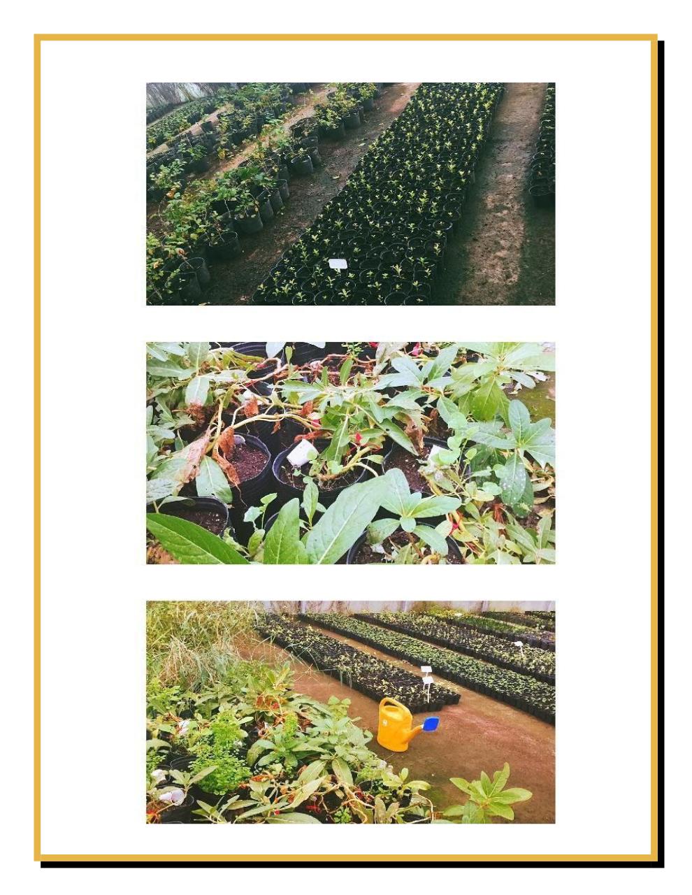 Vista previa del archivo PDF boletin-mayo2.pdf