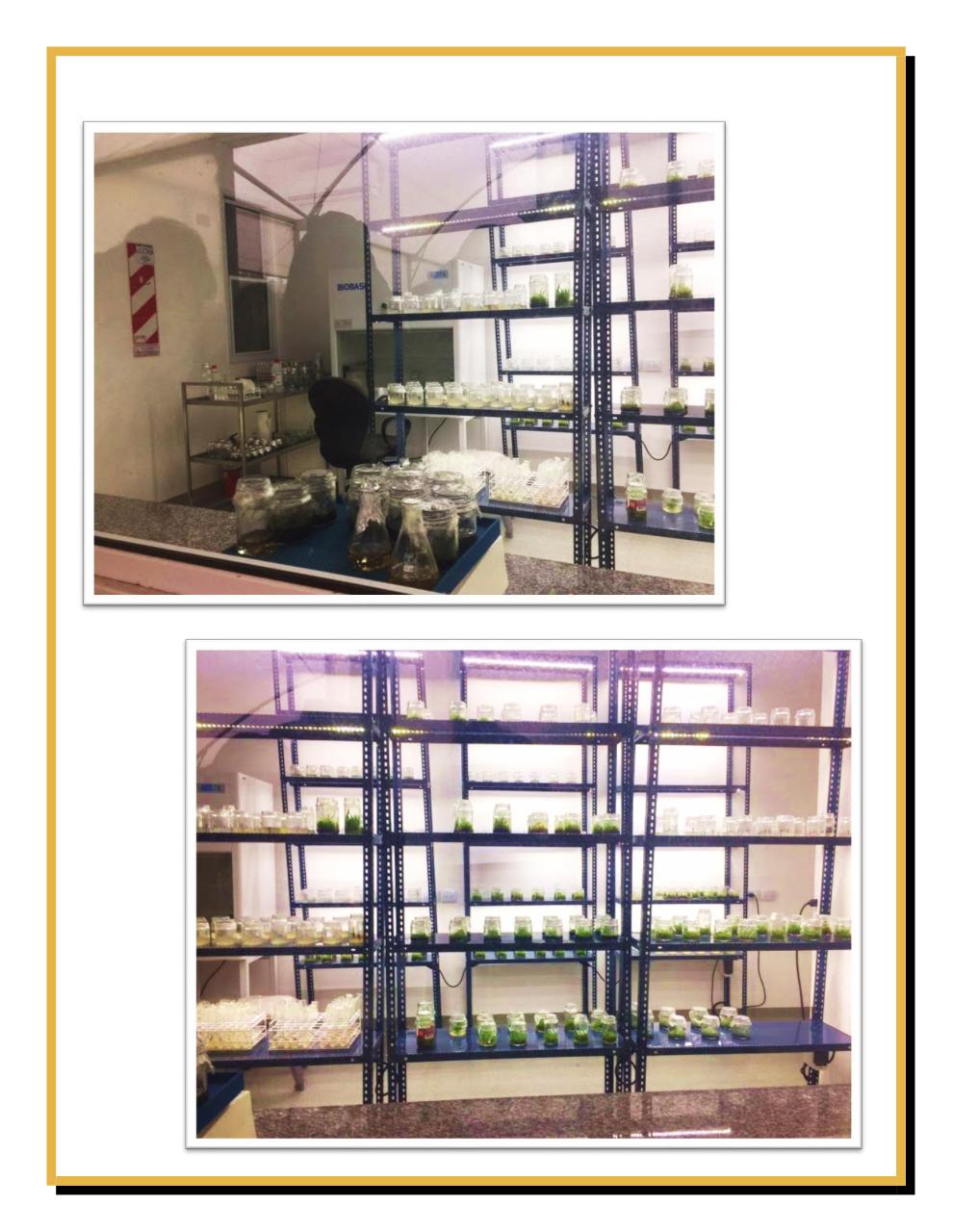 Vista previa del archivo PDF boletin-mayo2.pdf