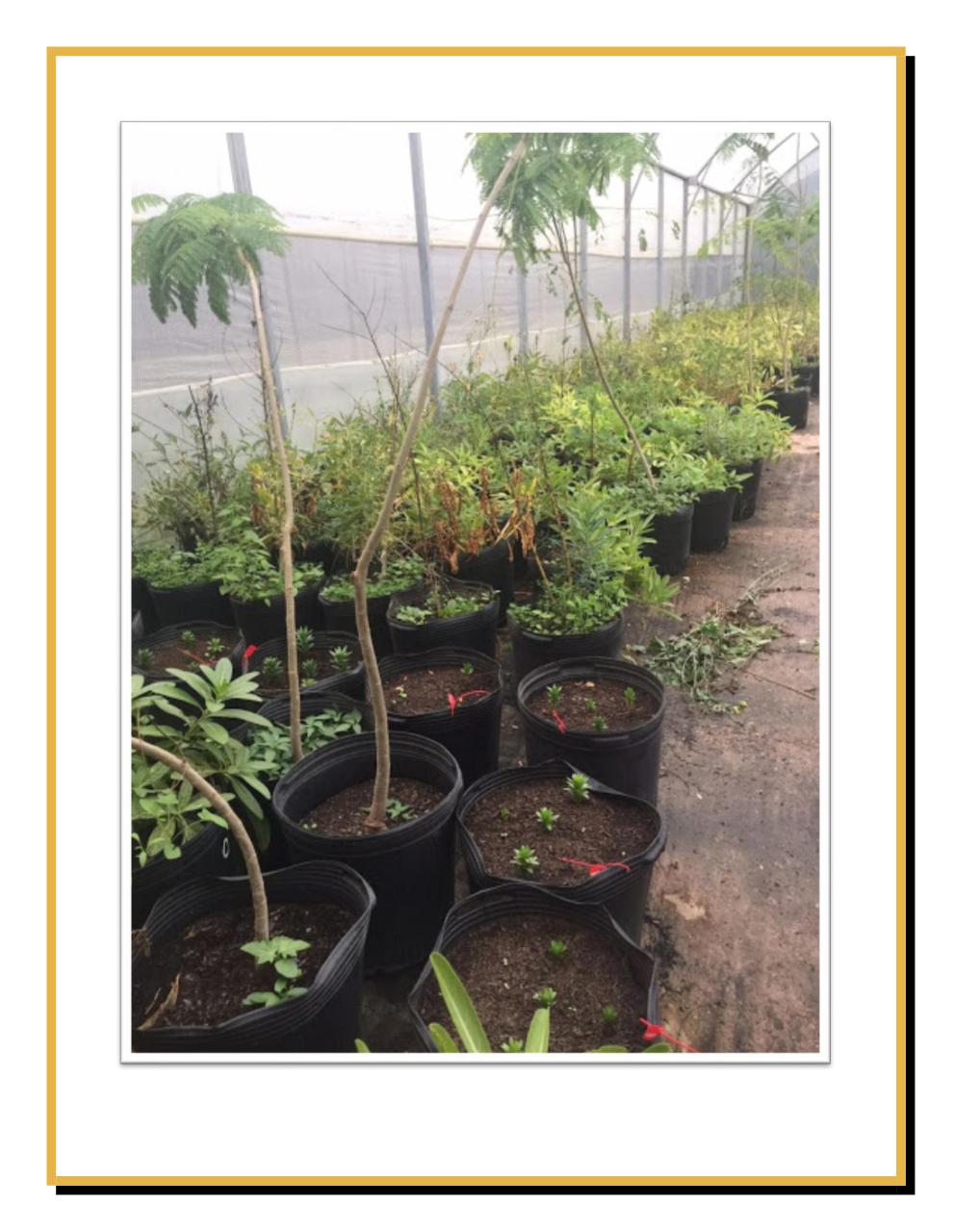 Vista previa del archivo PDF boletin-mayo2.pdf