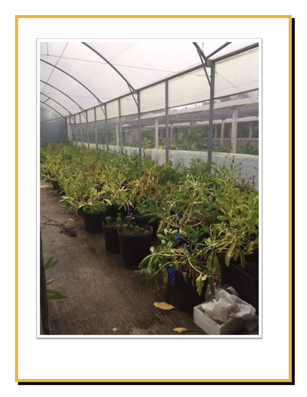 Vista previa del archivo PDF boletin-mayo2.pdf