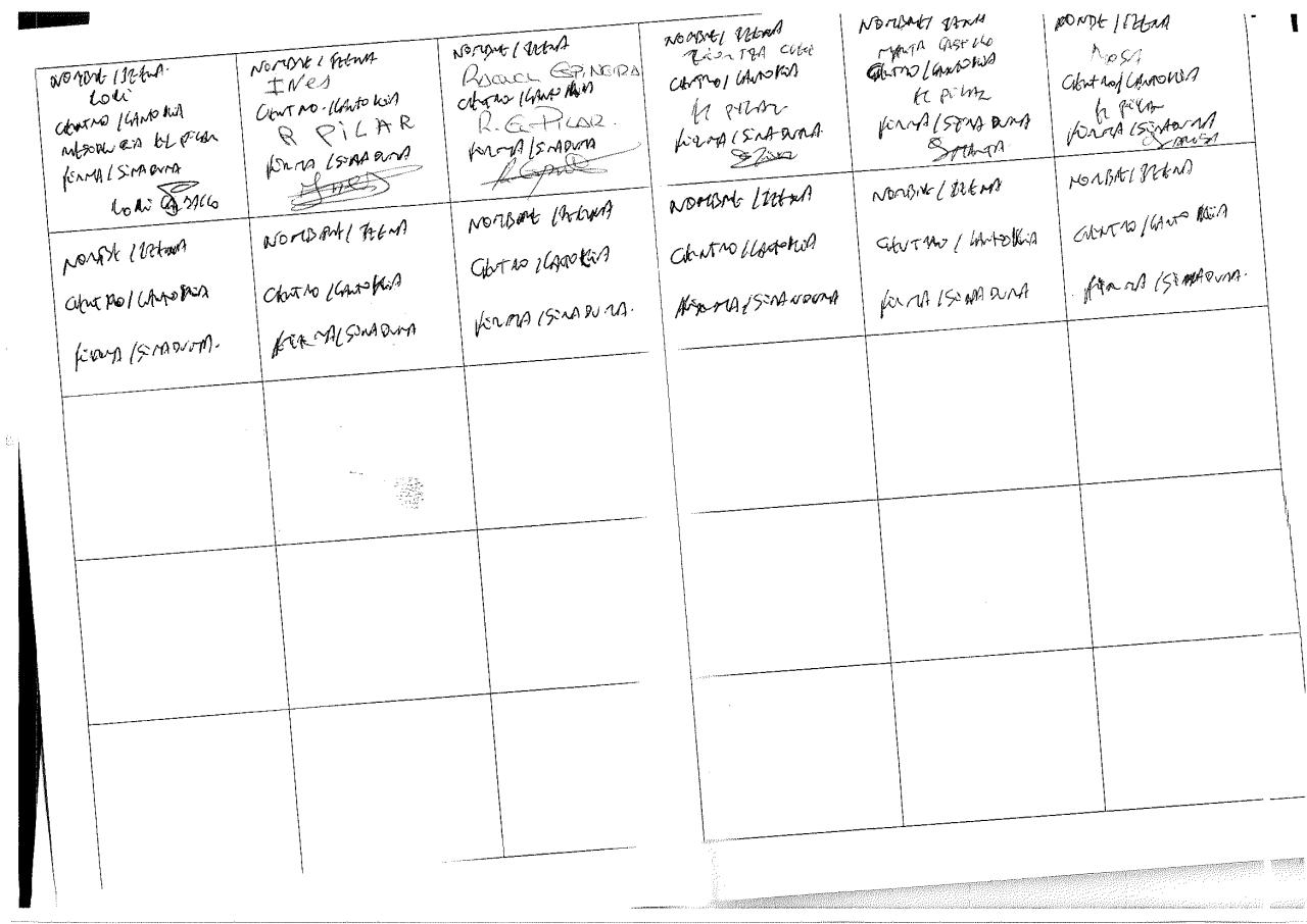 Vista previa del archivo PDF cartasoraya.pdf