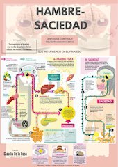 Documento PDF hambre saciedad 1