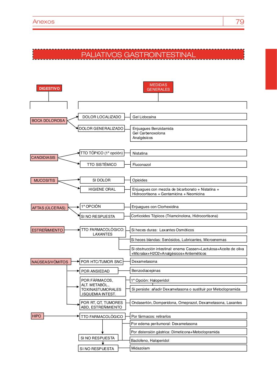 Vista previa del archivo PDF bvcm017095.pdf