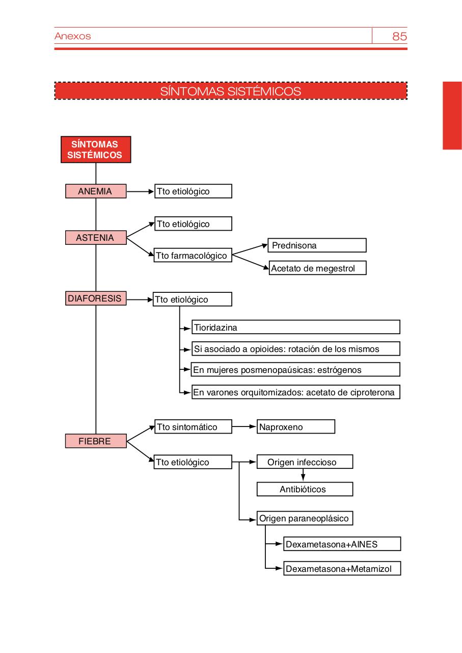 Vista previa del archivo PDF bvcm017095.pdf