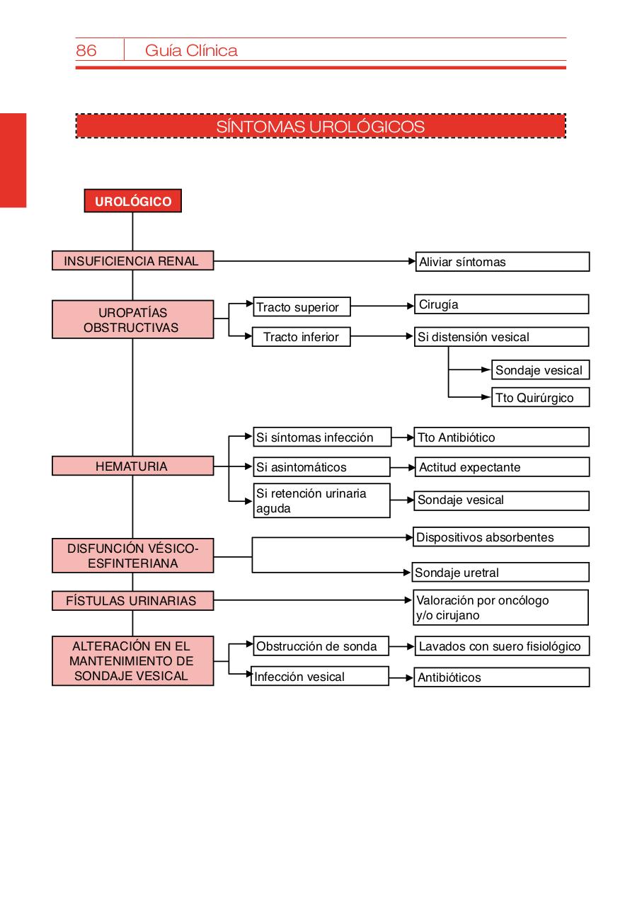 Vista previa del archivo PDF bvcm017095.pdf