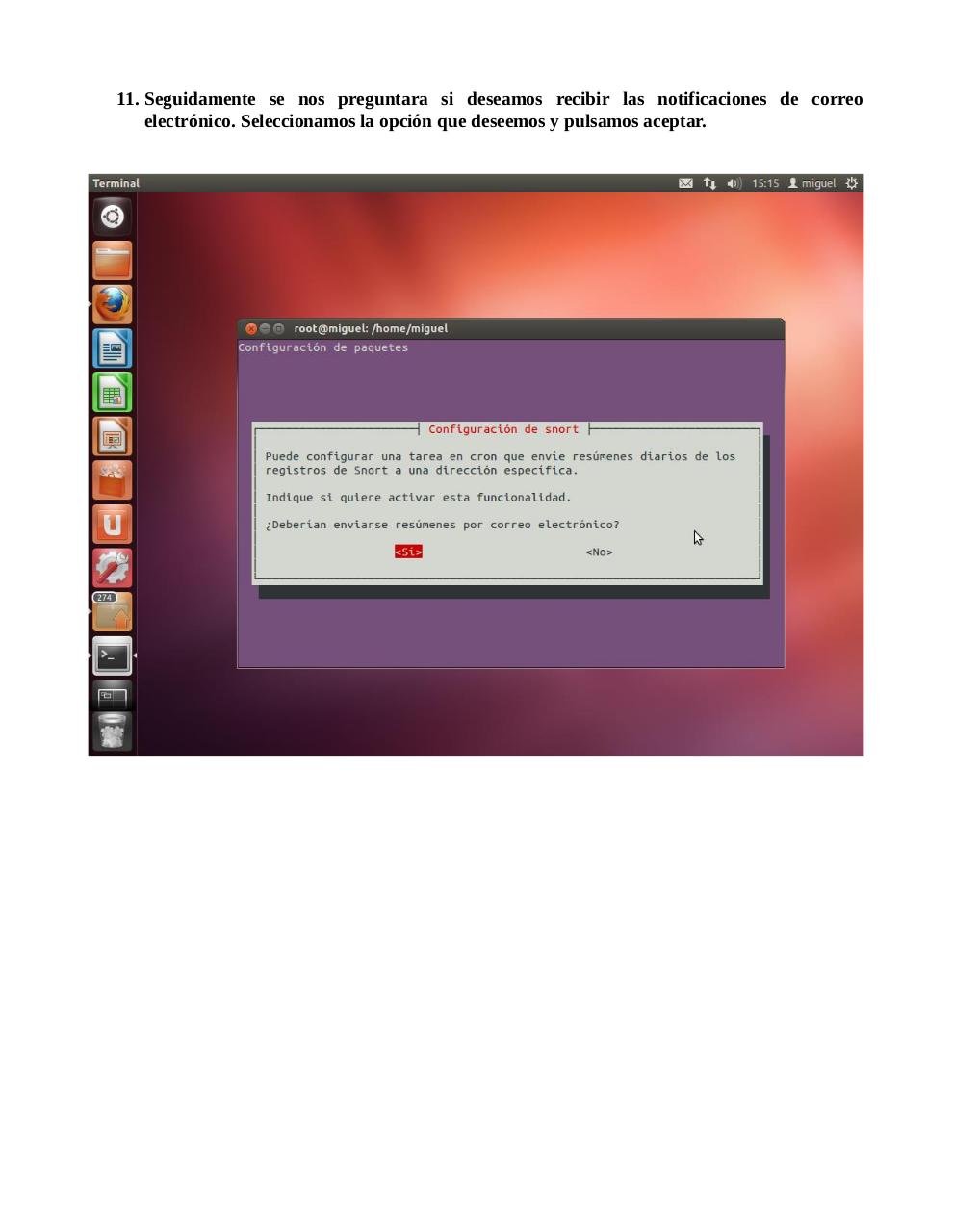 Vista previa del archivo PDF snort.pdf