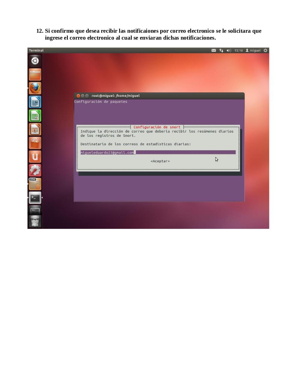 Vista previa del archivo PDF snort.pdf