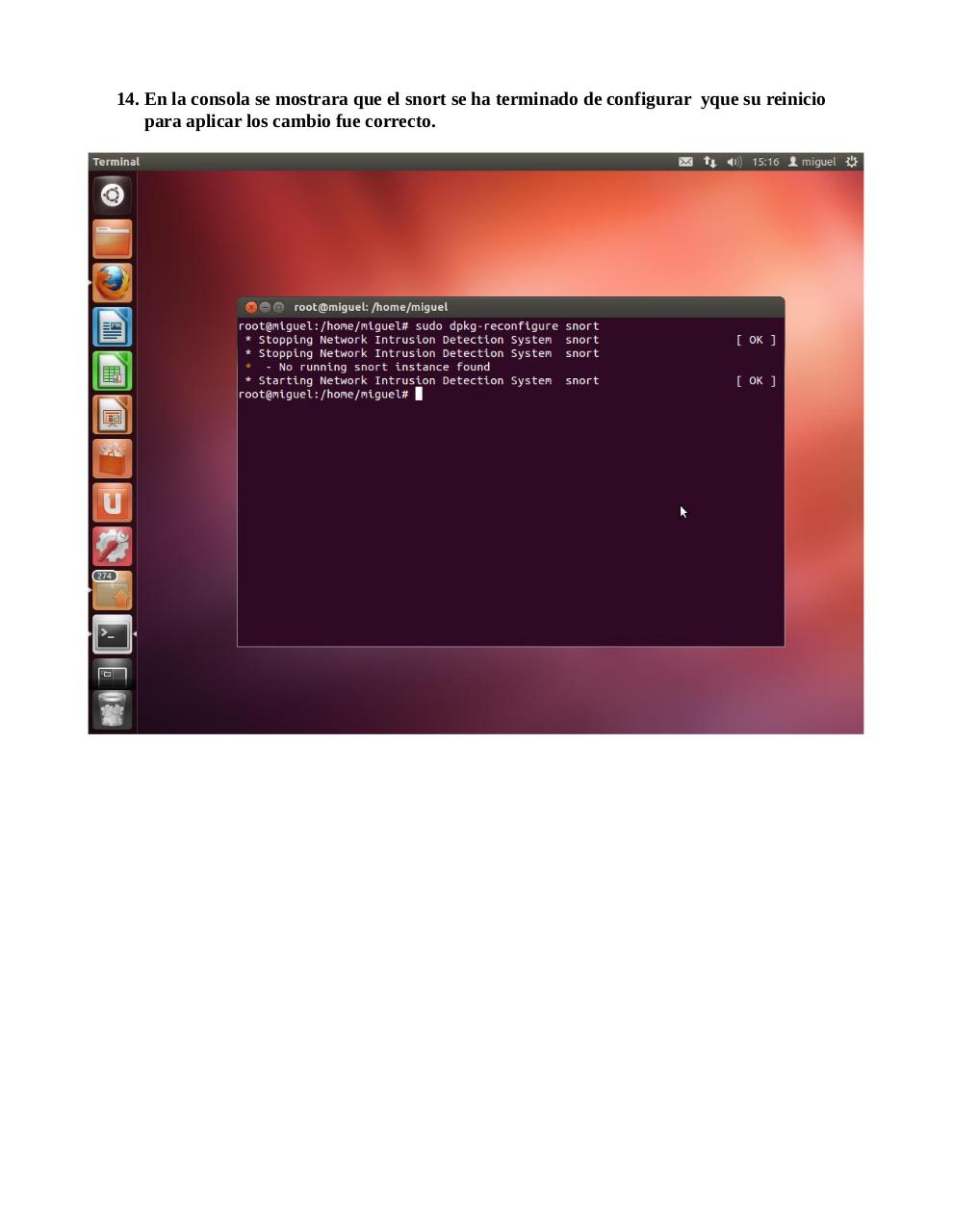 Vista previa del archivo PDF snort.pdf