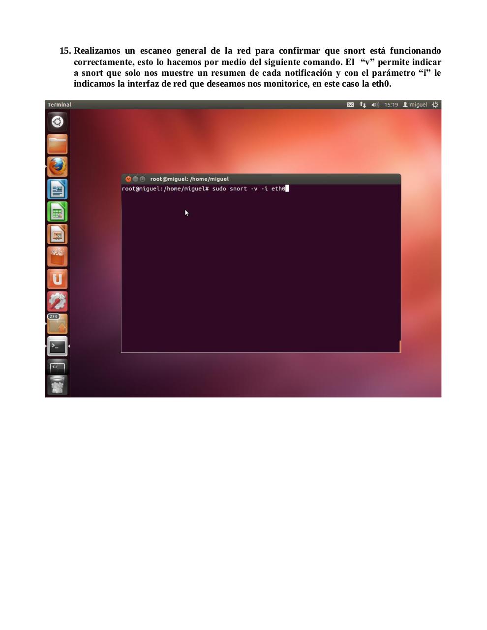Vista previa del archivo PDF snort.pdf
