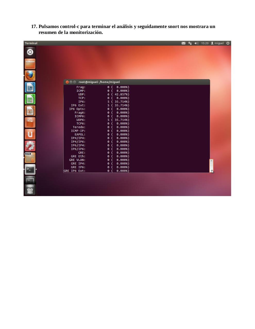 Vista previa del archivo PDF snort.pdf