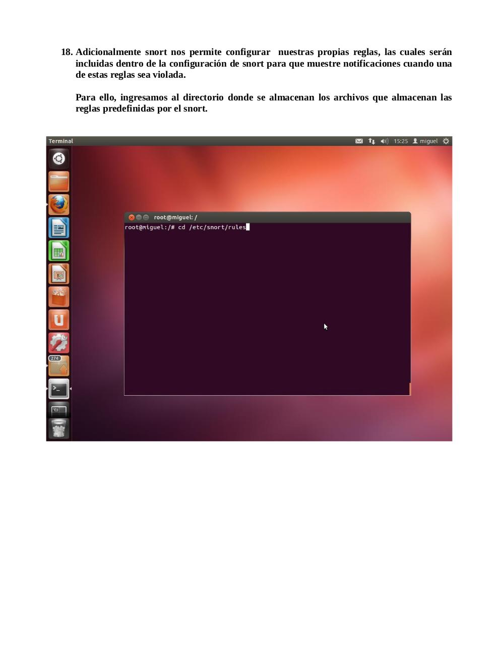 Vista previa del archivo PDF snort.pdf