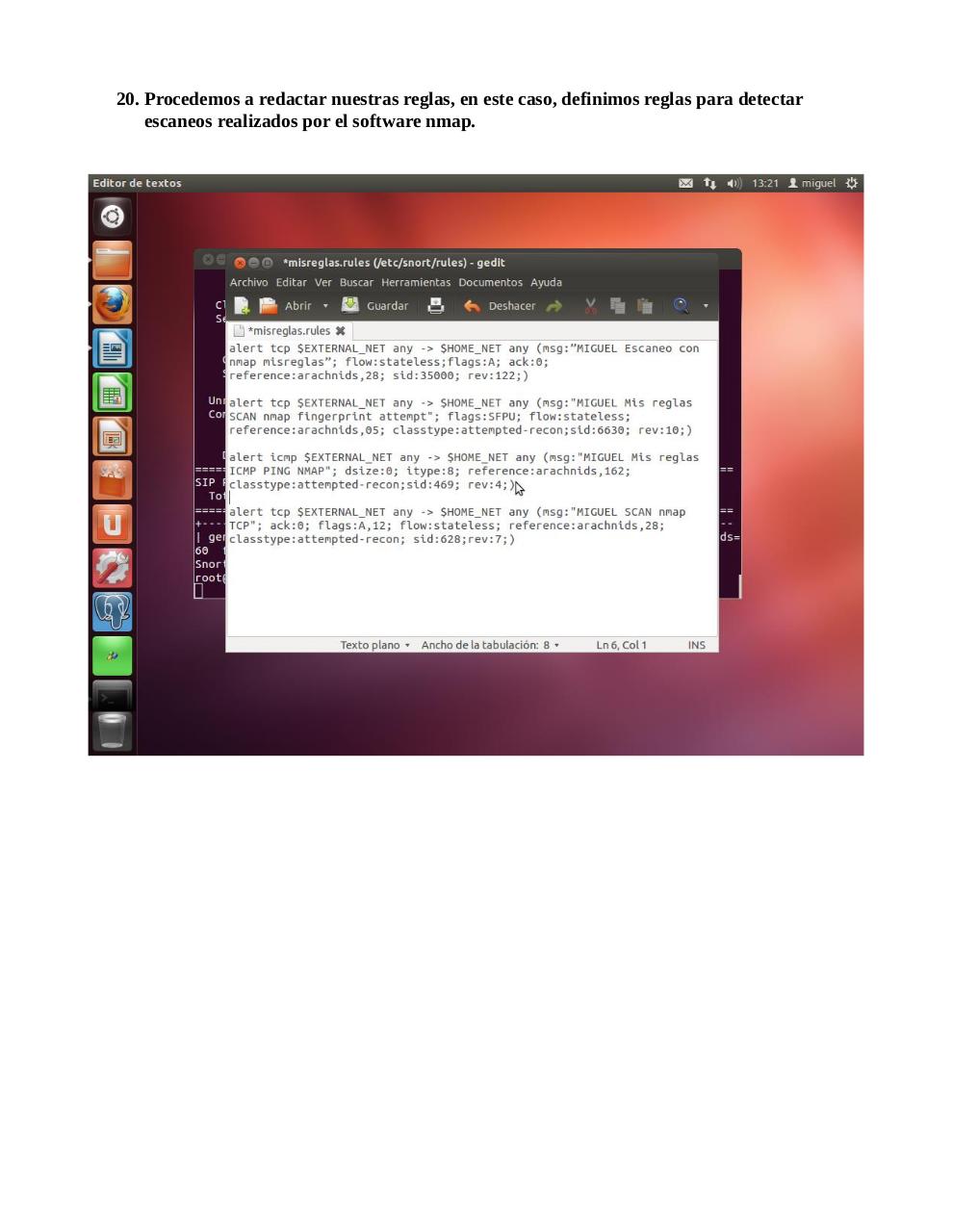 Vista previa del archivo PDF snort.pdf