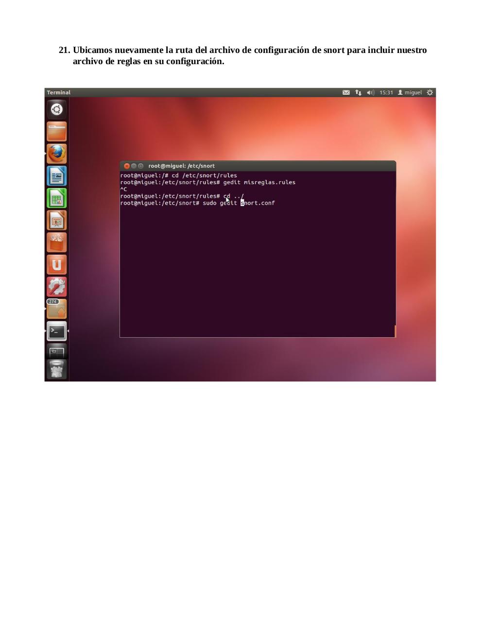 Vista previa del archivo PDF snort.pdf