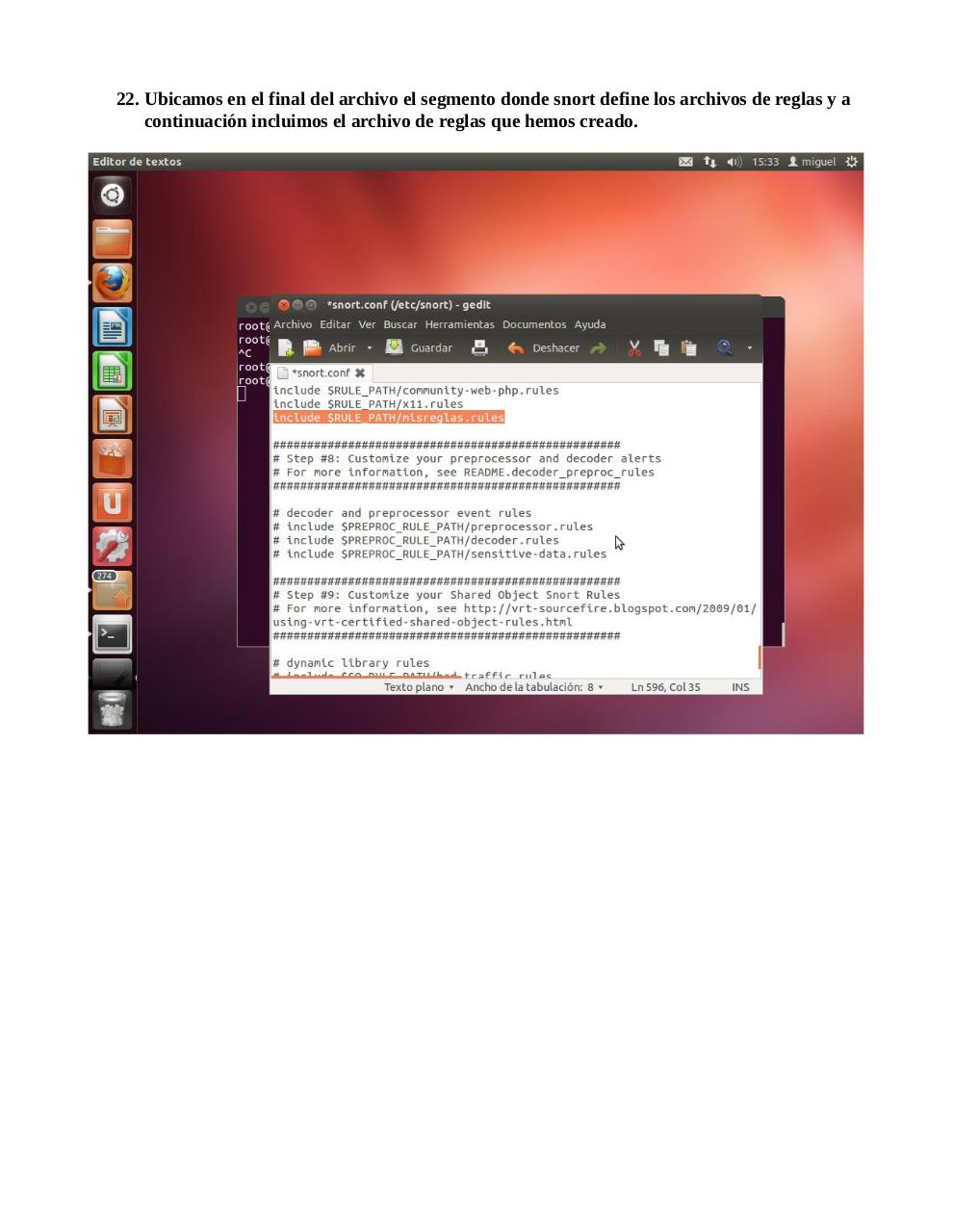 Vista previa del archivo PDF snort.pdf