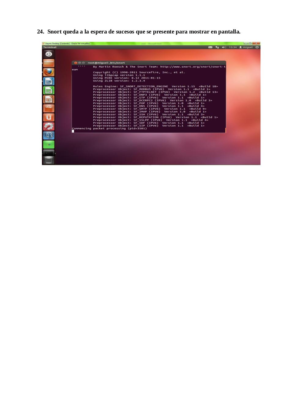 Vista previa del archivo PDF snort.pdf