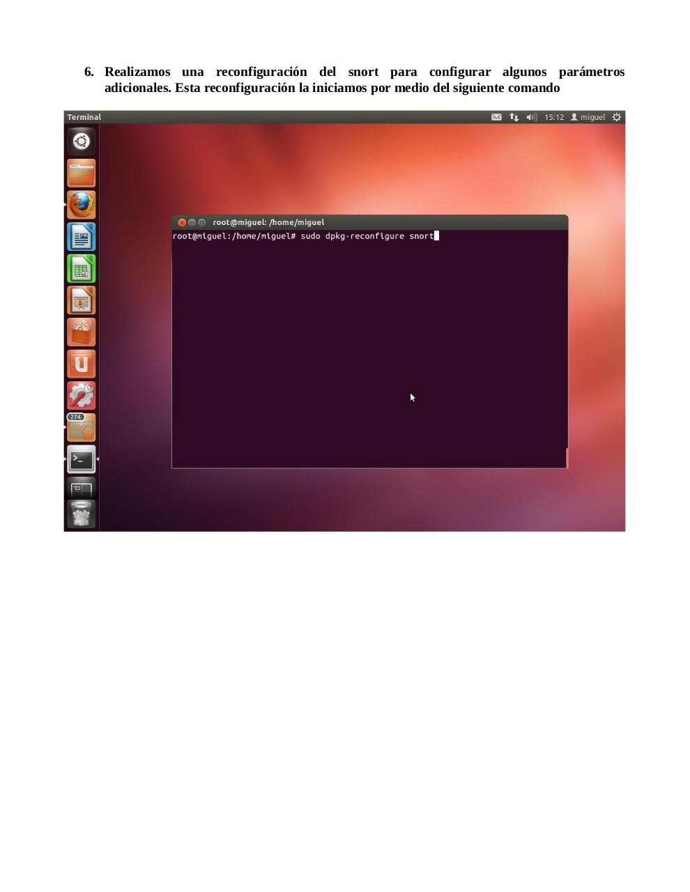 Vista previa del archivo PDF snort.pdf