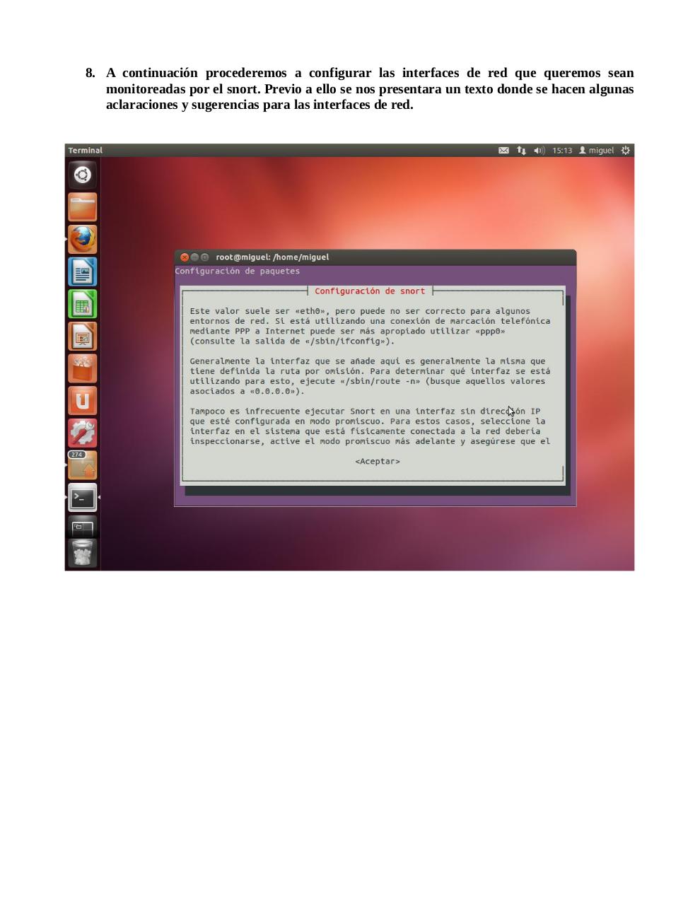 Vista previa del archivo PDF snort.pdf