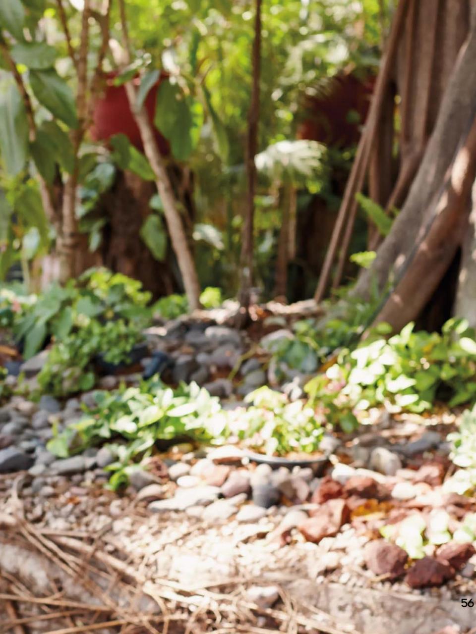 Vista previa del archivo PDF otono2017.pdf