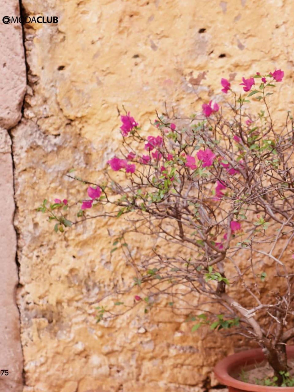 Vista previa del archivo PDF otono2017.pdf