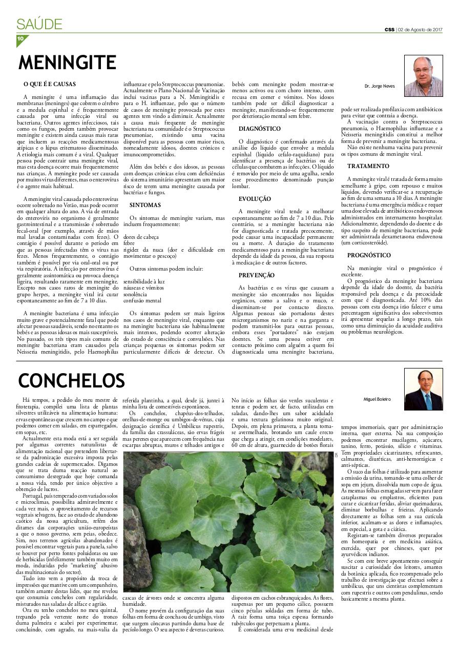 Vista previa del archivo PDF comercio-343.pdf